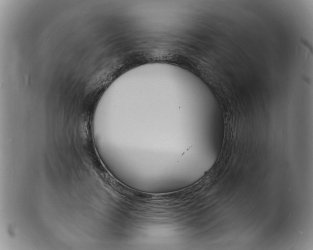 X0000101670746200807101049