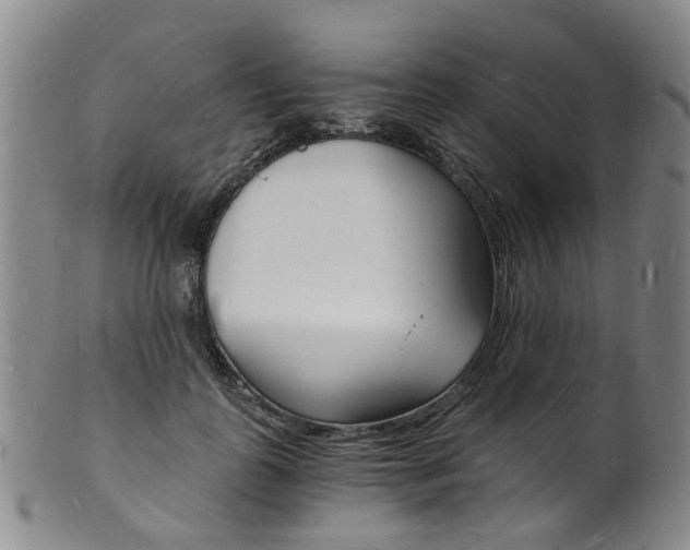 X0000101670747200807101049