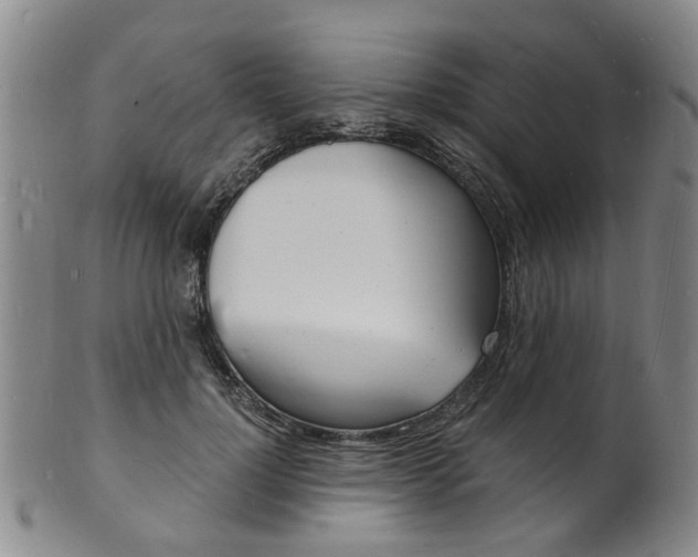 X0000101670748200807101049
