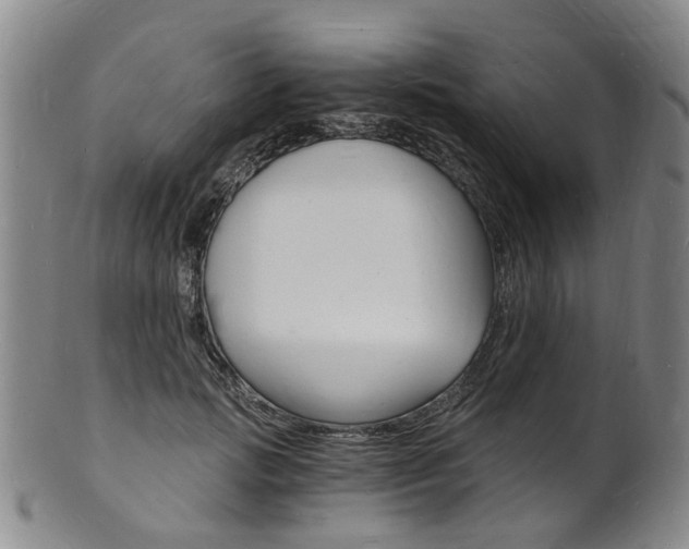 X0000101670749200807101049