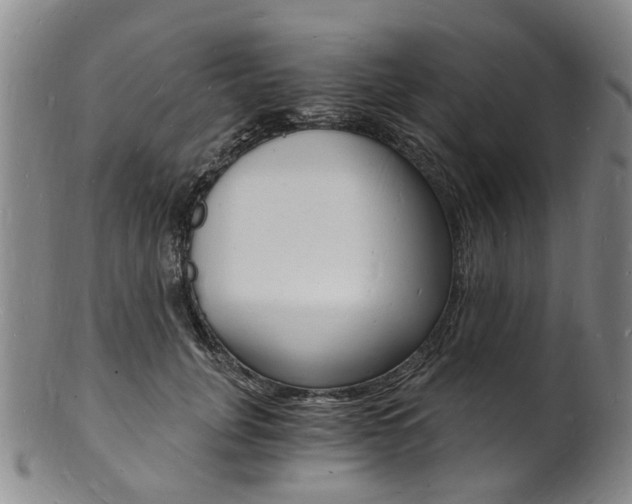 X0000101670751200807101049