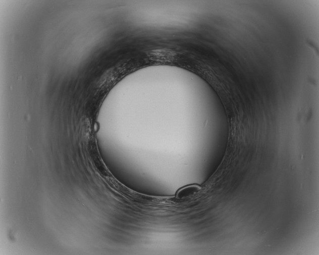 X0000101670752200807101049
