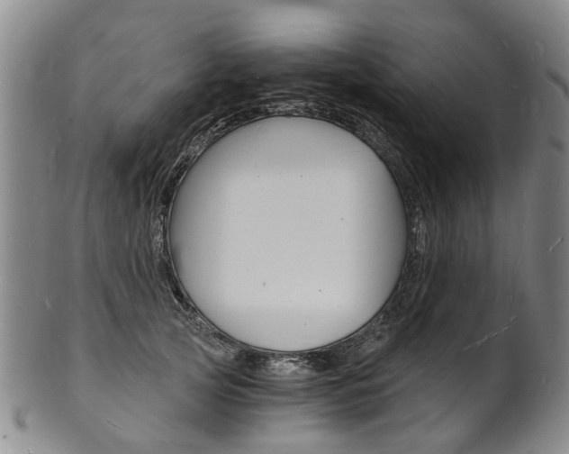 X0000101670753200807101049
