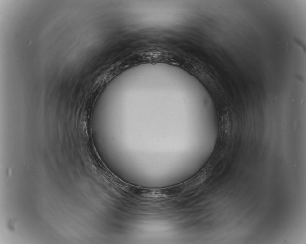 X0000101670754200807101049