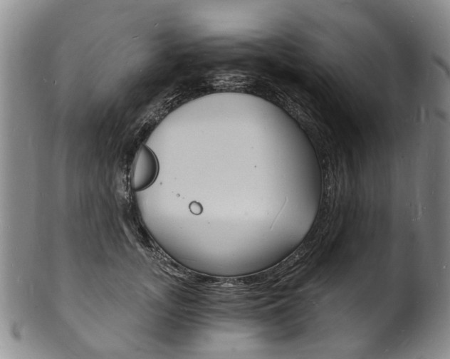 X0000101670755200807101049