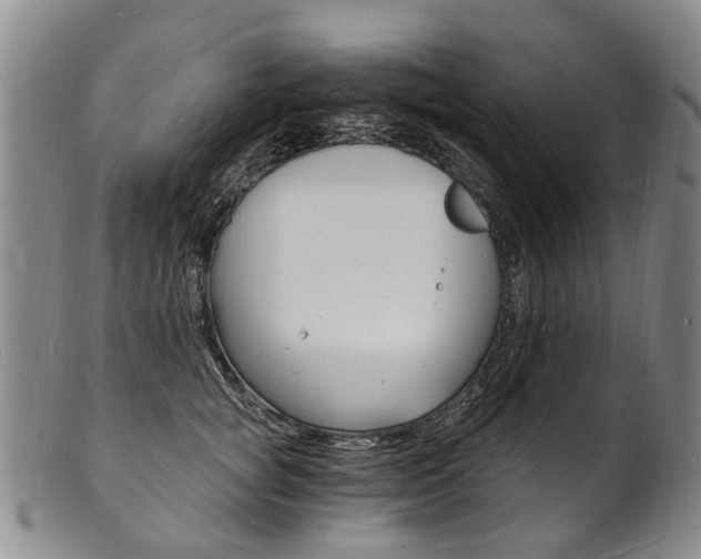 X0000101670757200807101049