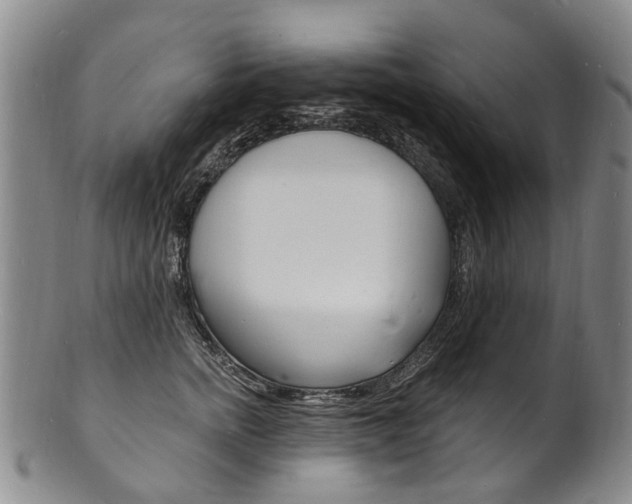 X0000101670758200807101049