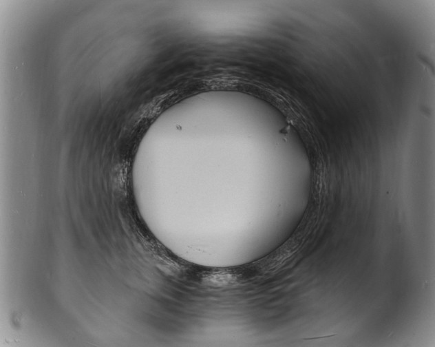 X0000101670759200807101049