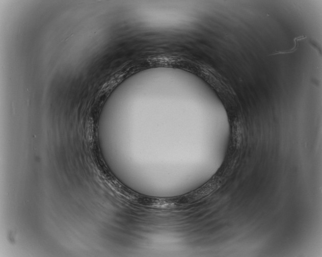 X0000101670760200807101049