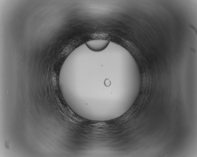 X0000101670761200807101049