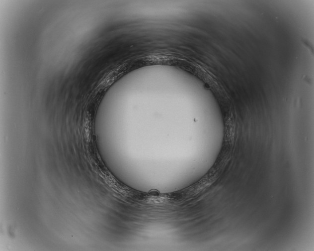 X0000101670762200807101049