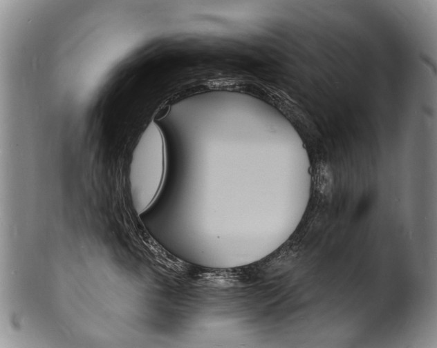 X0000101670763200807101049