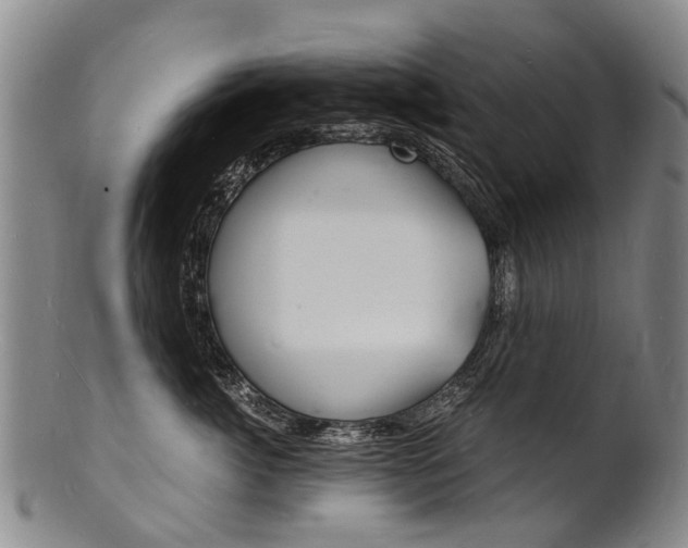 X0000101670764200807101049