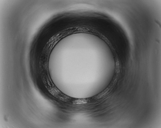 X0000101670765200807101049