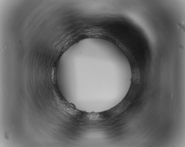 X0000101670767200807101049