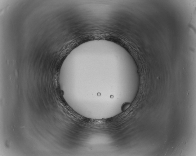 X0000101670768200807101049
