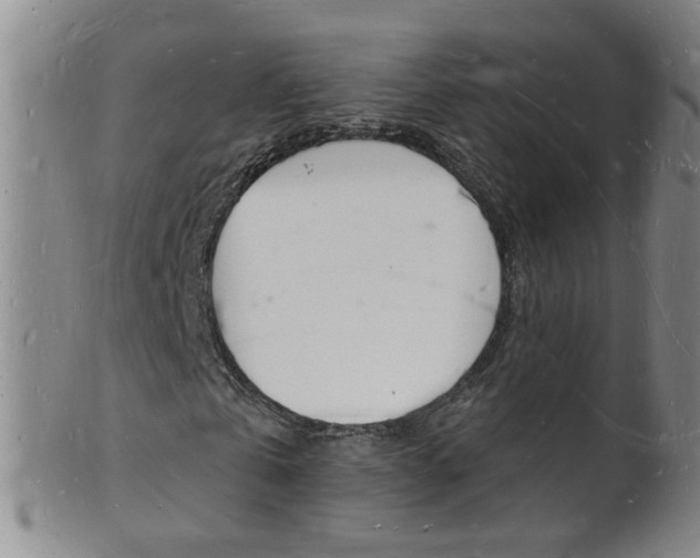X0000101670769200807101048