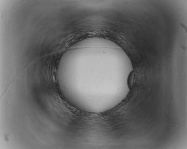 X0000101670770200807101048