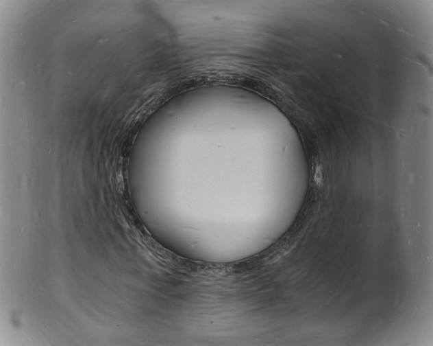 X0000101670771200807101048