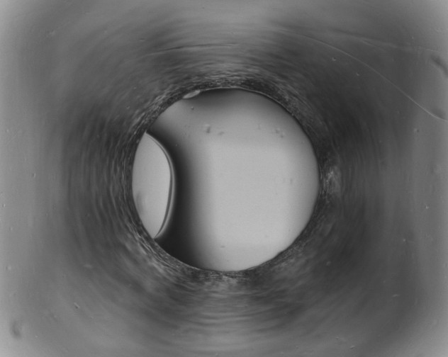 X0000101670772200807101048