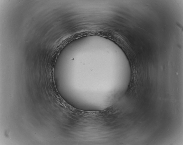 X0000101670773200807101048