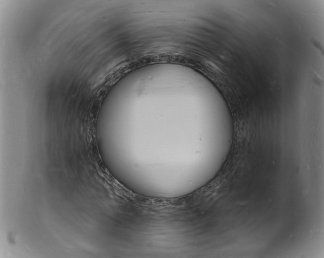 X0000101670774200807101048