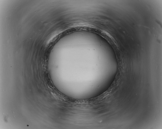 X0000101670775200807101048