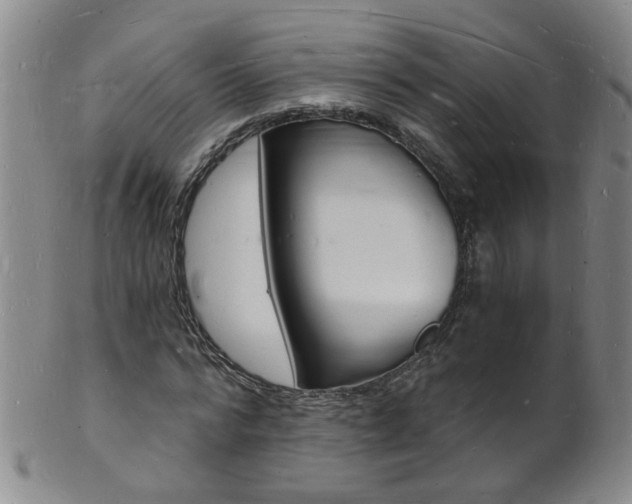 X0000101670776200807101048