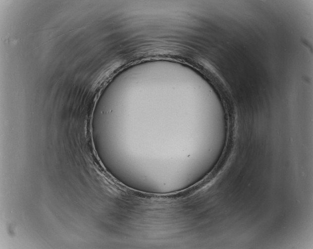 X0000101670777200807101048