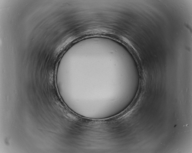 X0000101670778200807101048