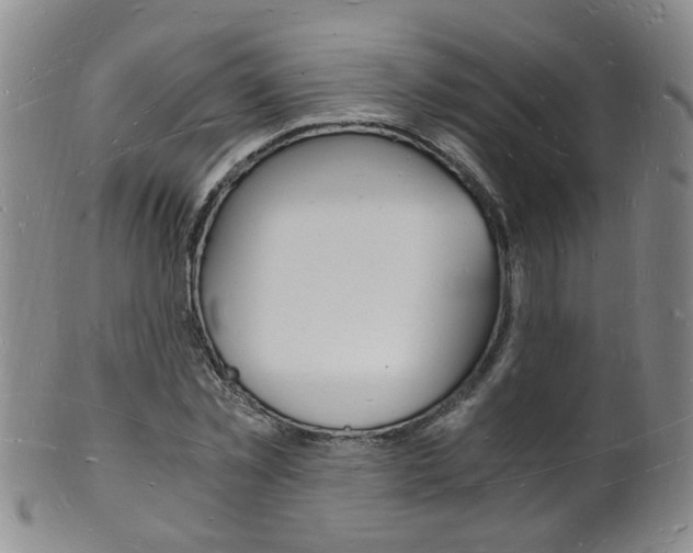 X0000101670781200807101048
