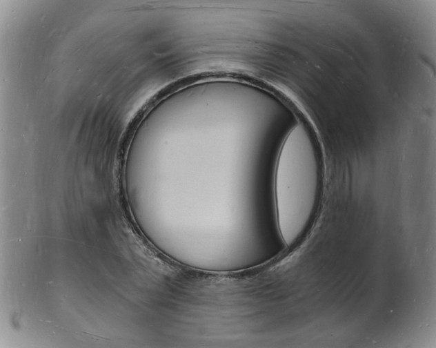 X0000101670783200807101048