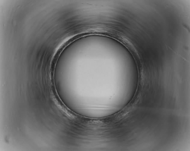 X0000101670784200807101048