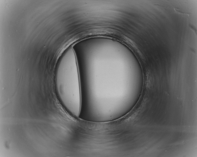 X0000101670786200807101048