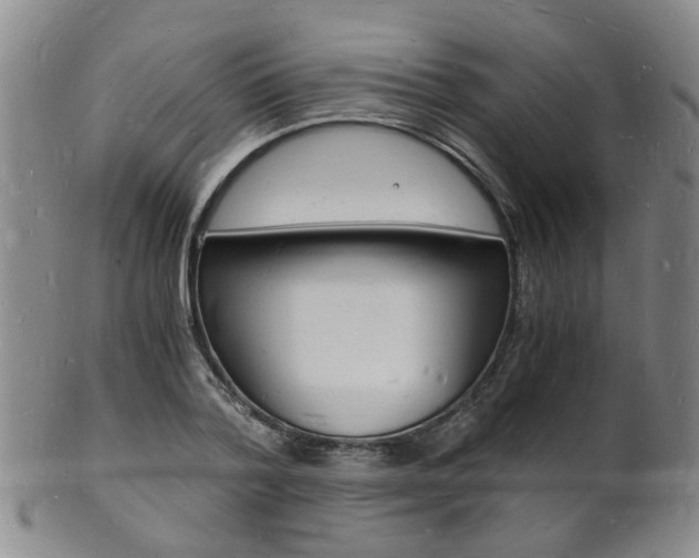 X0000101670788200807101048