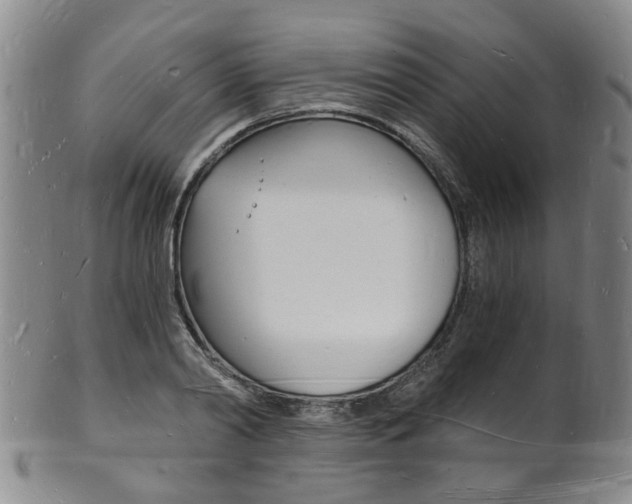 X0000101670790200807101048