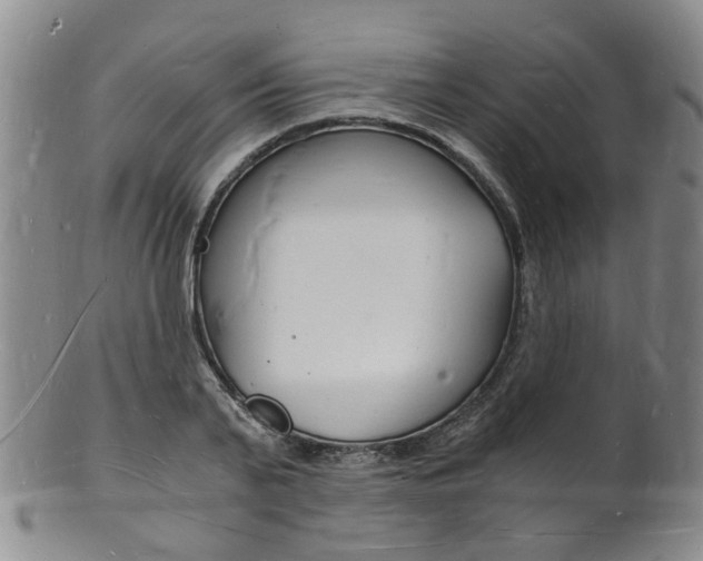 X0000101670791200807101048