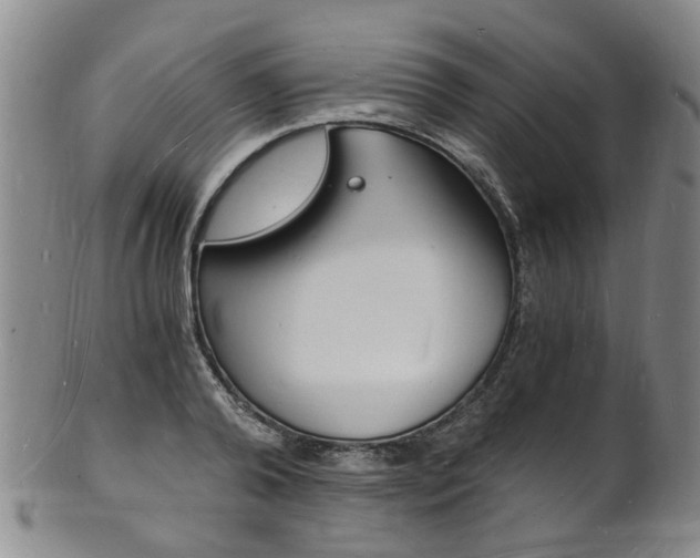 X0000101670792200807101048