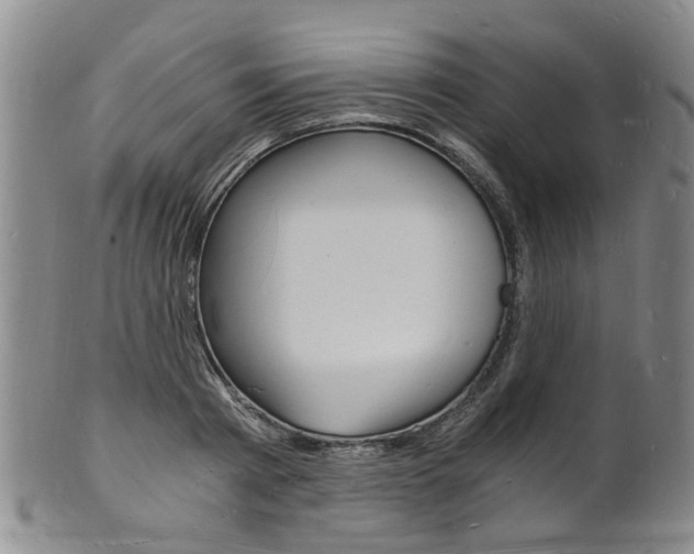 X0000101670793200807101048
