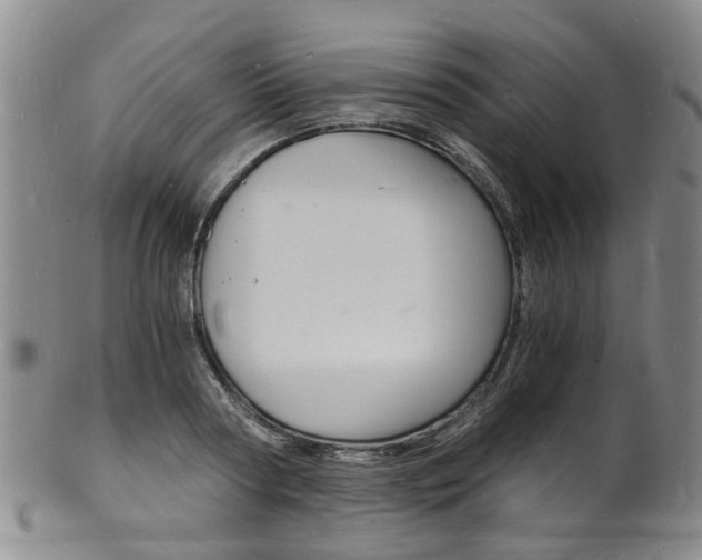 X0000101670794200807101048