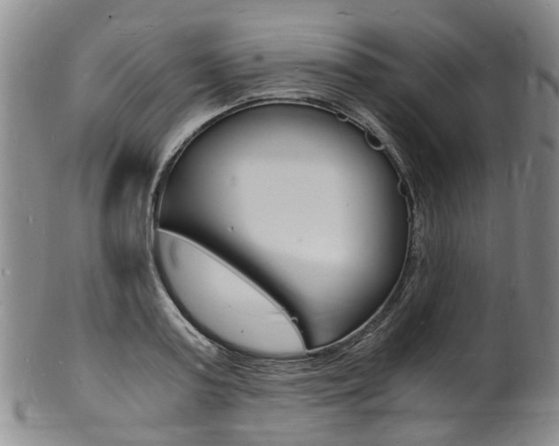 X0000101670795200807101048