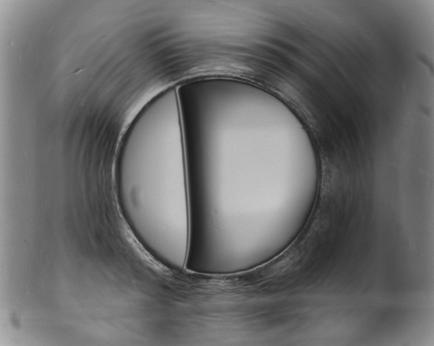 X0000101670796200807101048