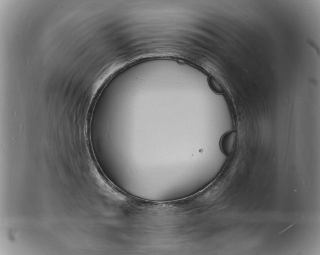 X0000101670797200807101048