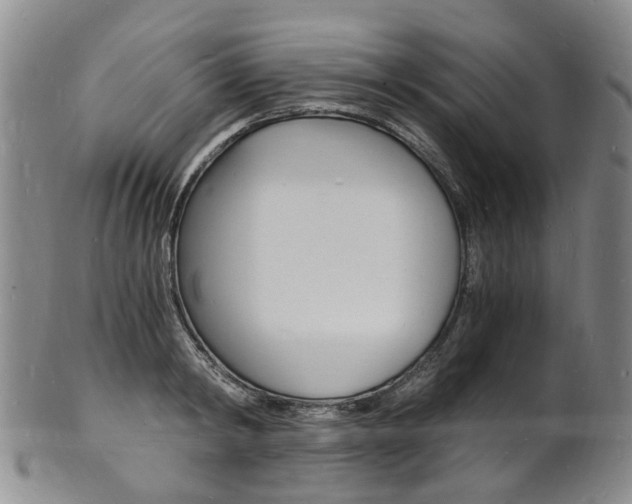 X0000101670798200807101048