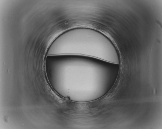 X0000101670799200807101048