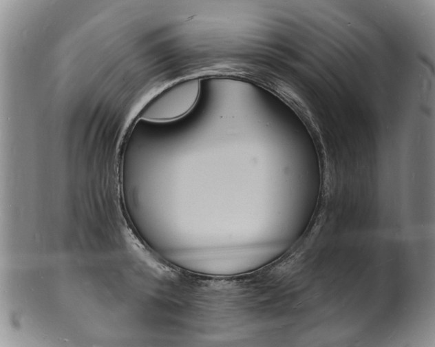 X0000101670800200807101048