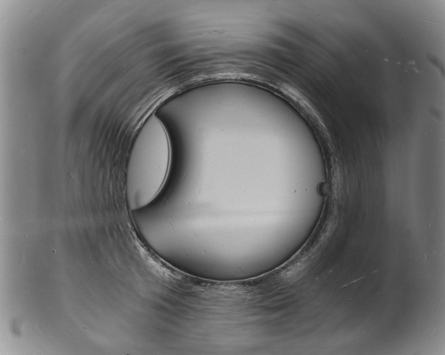 X0000101670801200807101048