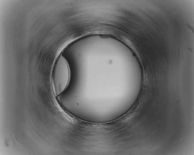 X0000101670803200807101048