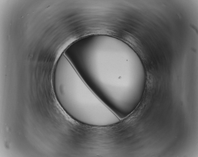 X0000101670804200807101048