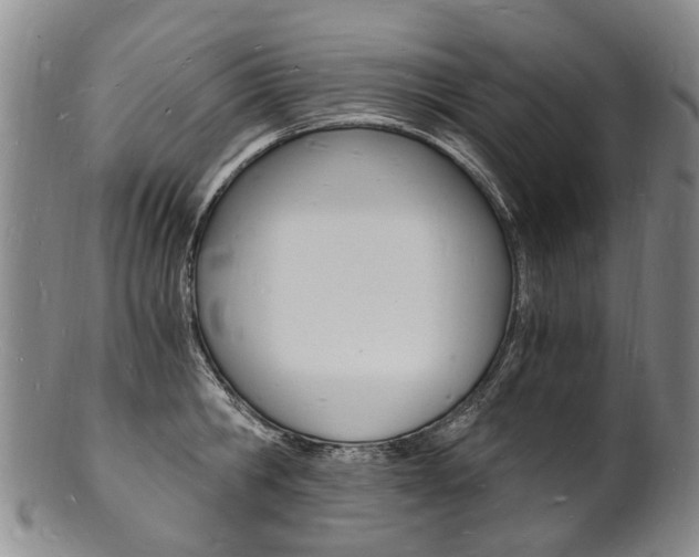 X0000101670806200807101048